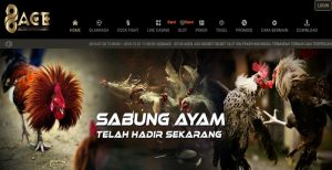 96ACE – Extra Bonus Deposit 200% Member Baru Sportbook Dan Live Casino