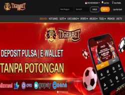 TIGERBET888 – EVENT MIX PARLAY HARIAN SPORTSBOOK ALL MEMBER