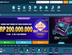 METAPLAY – BONUS SPIN GRATIS