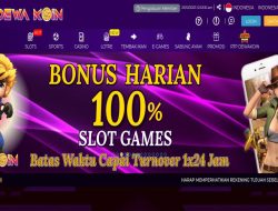 DEWAKOIN – BONUS HARIAN 100%